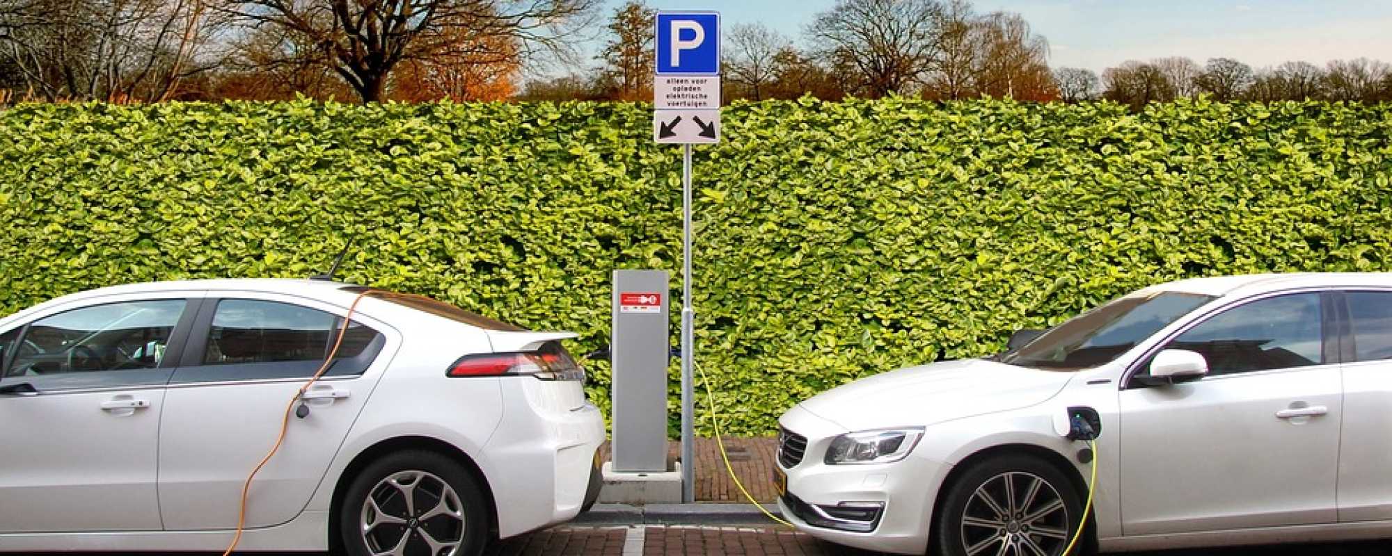 two electric cars charging