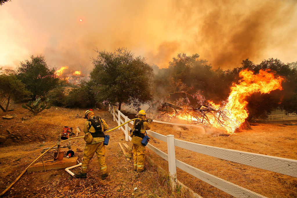 Wildfires