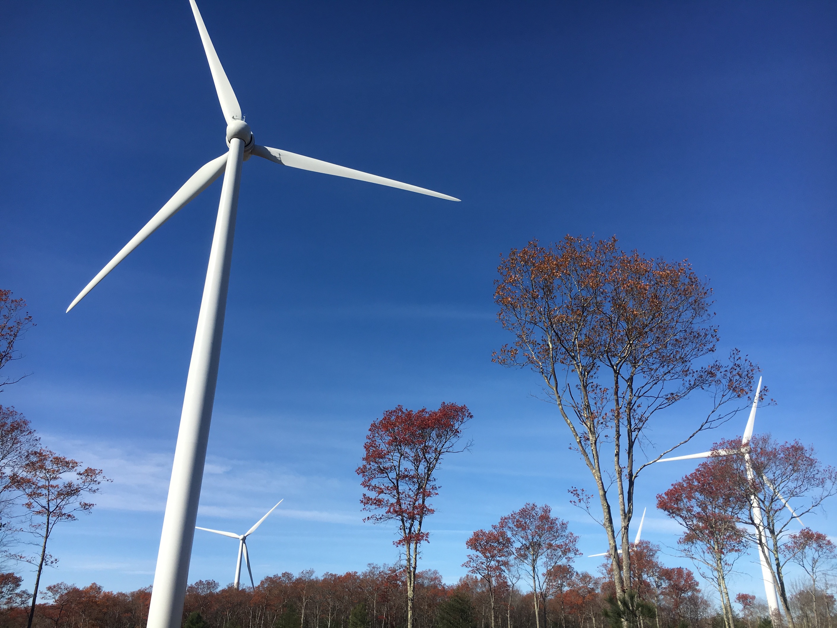 Wind in Coventry RI, Supported by our Green Power members