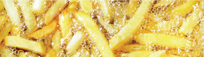 What is biodiesel?