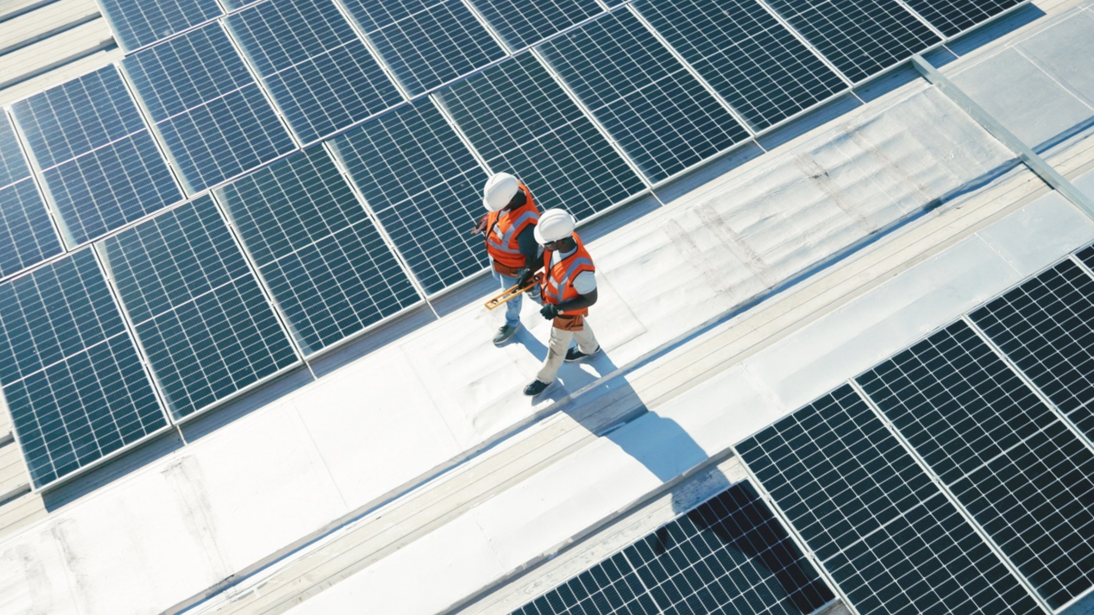 How Renewable Energy Lowers the Price of Electricity on the Wholesale Market