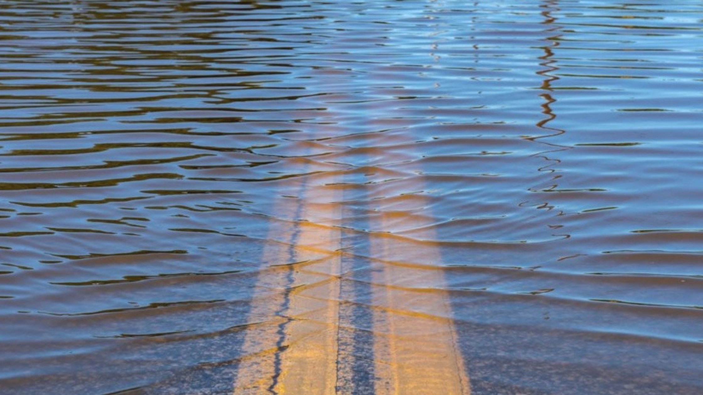 We Are Still Endangered