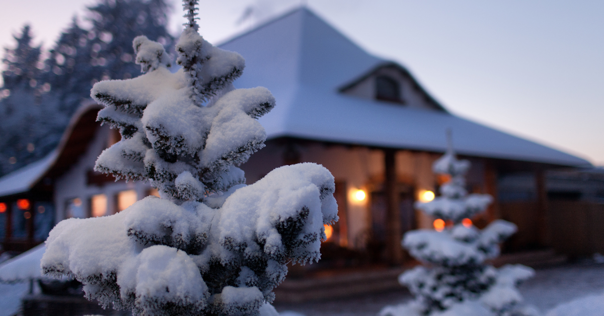 winter cozy