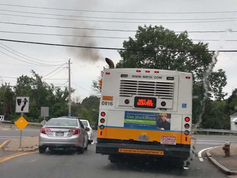 Public health